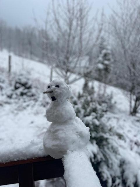 Dom Na Wzgorzu - Brenna Villa Dış mekan fotoğraf